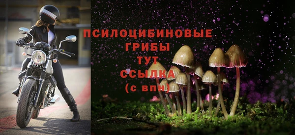 дурь Абаза