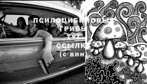 дурь Абаза