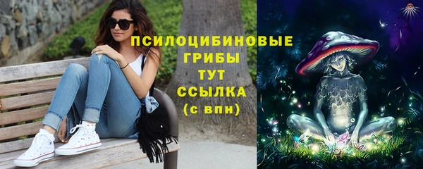 дурь Абаза